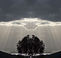 aart. Gallery of Fine Art - Winery Find