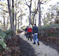 Bridport Walking Track - Winery Find