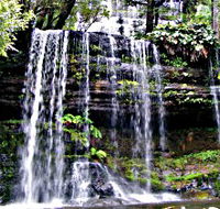 Mt Field National Park - Winery Find