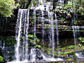 Mt Field National Park - Winery Find 0