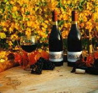 Craigow Vineyard - Winery Find