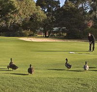 Royal Hobart Golf Club - Winery Find