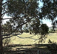Cygnet Public Golf Course - Winery Find