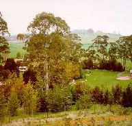 The Tasmanian Arboretum - Winery Find