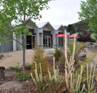 Tin Dragon Interpretation Centre and Cafe - Winery Find