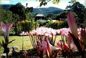 Blueberry Cottage Open Gardens - Winery Find 0