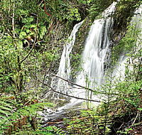 Hogarth Falls - Winery Find