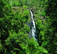 Kondalilla National Park - Winery Find