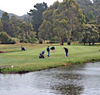 Penguin Golf Course - Winery Find