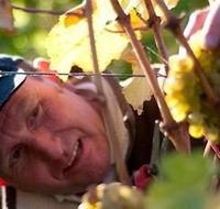 Puddleduck Vineyard - Winery Find