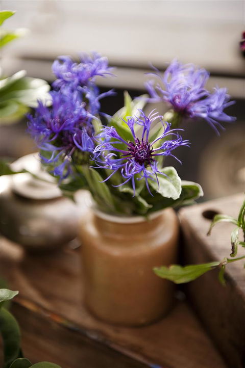 Salamanca Market - Winery Find 1