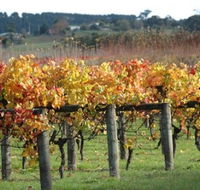 Apsley Gorge Vineyard - Winery Find
