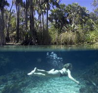 Bitter Springs - Winery Find