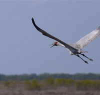Gayngaru Wetlands Interpretive Walk - Winery Find