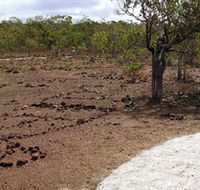 Wurrwurrwuy Garanhan Macassan Beach Interpretive Walk - Winery Find