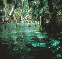Mataranka Thermal Pool - Winery Find