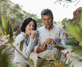 Simpsons Gap - Winery Find 0