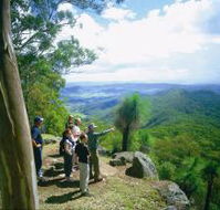 Gold Coast Hinterland Great Walk - Winery Find