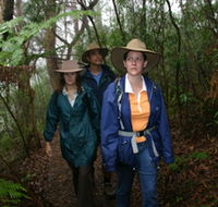 Mount Cougal Springbrook National Park - Winery Find