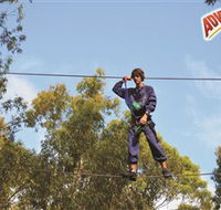 Adventure Parc at Currumbin Wildlife Sanctuary - Winery Find