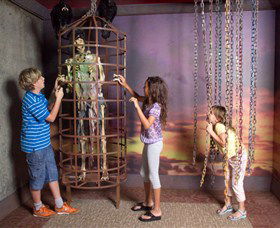 Ripleys Believe It Or Not! Odditorium - Winery Find 0