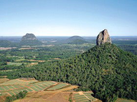 Mt Tibrogargan - Winery Find 0