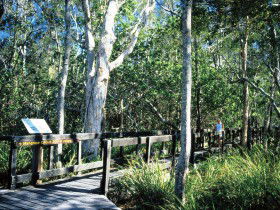 Noosa Heads QLD Winery Find