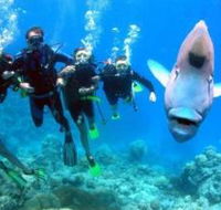 Magic Mountain Dive Site - Winery Find