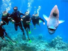 Jew Shoal Dive Site - Winery Find 0