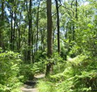 Mapleton Falls National Park - Winery Find