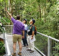 Daintree Discovery Centre - Winery Find