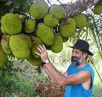 Cape Trib Exotic Fruit Farm - Winery Find