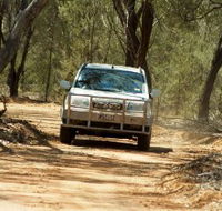 Ward River 4x4 Stock Route Trail - Winery Find