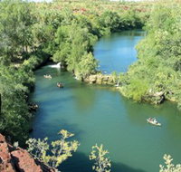 Wild Dog Dreaming Boodjamulla Lawn Hill National Park - Winery Find