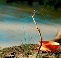 Charleville - Mangalore Warrego River Fishing Spot - Winery Find