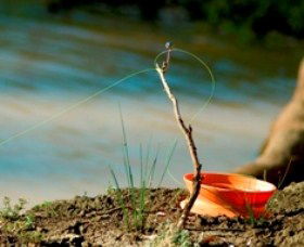 Charleville - Mangalore Warrego River Fishing Spot - Winery Find 0