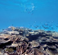 Australian Institute of Marine Science - Winery Find