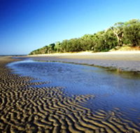 Burrum Coast National Park - Winery Find