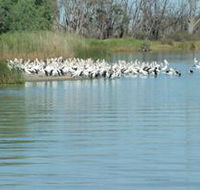 Lake Ross - Winery Find