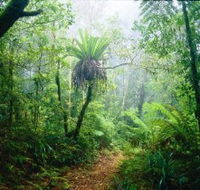 Lamington National Park Green Mountains Section - Winery Find
