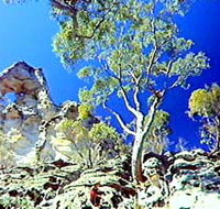 Mount Moffatt Section - Carnarvon National Park - Winery Find