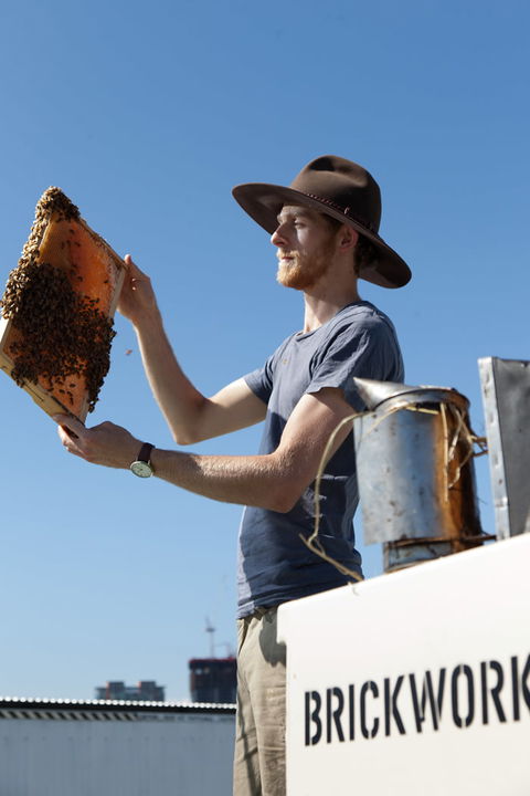 Brickworks Centre - Winery Find 10