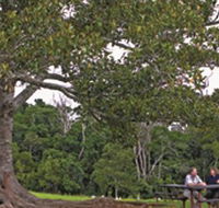 Ravensbourne National Park - Winery Find