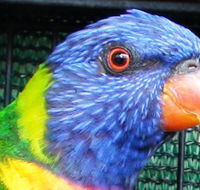 Fraser Coast Wildlife Sanctuary - Winery Find