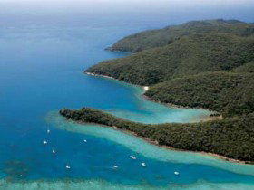 Hook Island QLD Winery Find