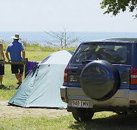 Ball Bay - Winery Find