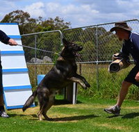 Lawdogs Australia - Winery Find
