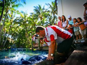 Daydream Island QLD Winery Find