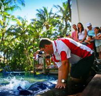 The Living Reef on Daydream Island - Winery Find