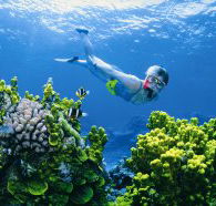 Wheeler Reef Dive Site - Winery Find